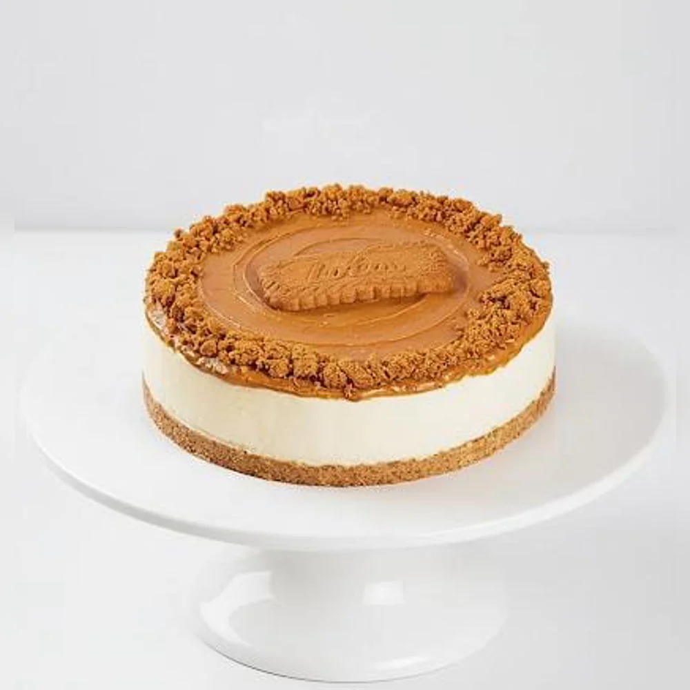 Lotus Biscoff Cheese cake